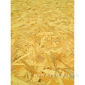 OSB Wood Panel For Building